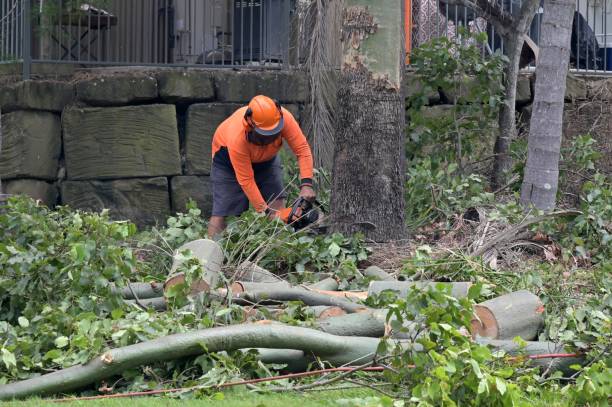 Best Commercial Tree Services  in Catoosa, OK